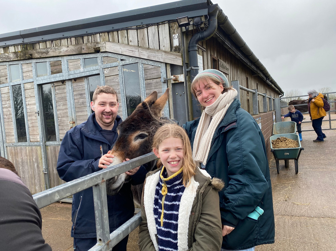 The Donkey Sanctuary-西德茅斯必去景点