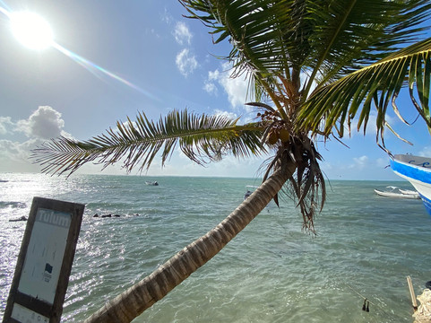 Infinity 2 Diving-图伦必去景点