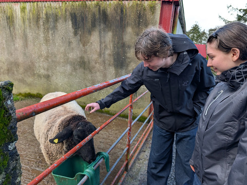 Rathbaun Farm-戈尔韦必去景点