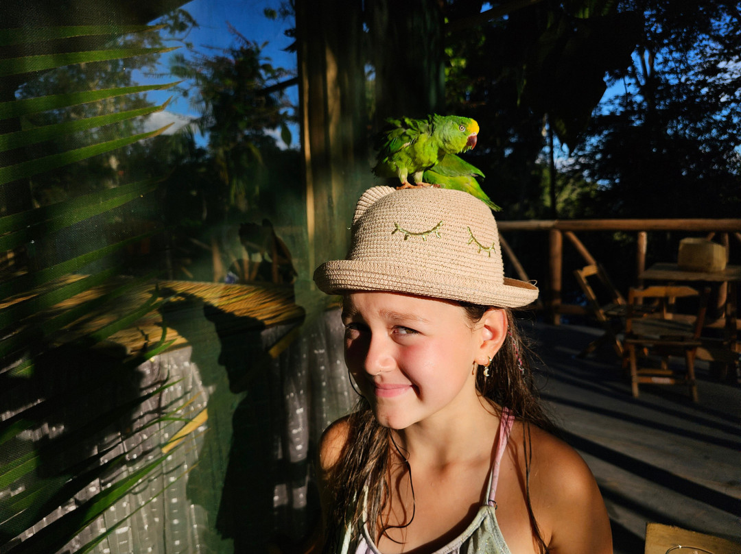 Paroá Amazon Lodge