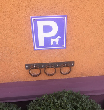 Kurortny Ave.-泽列诺格拉茨克必去景点