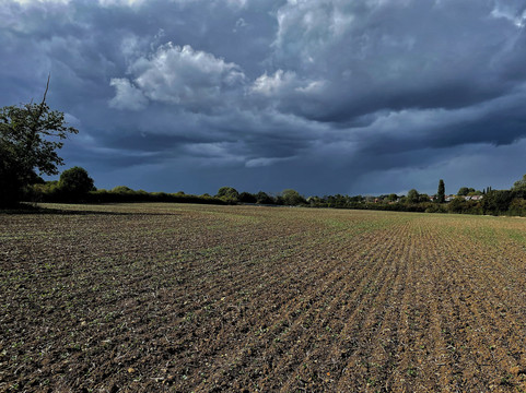 Bobbingworth Nature Reserve