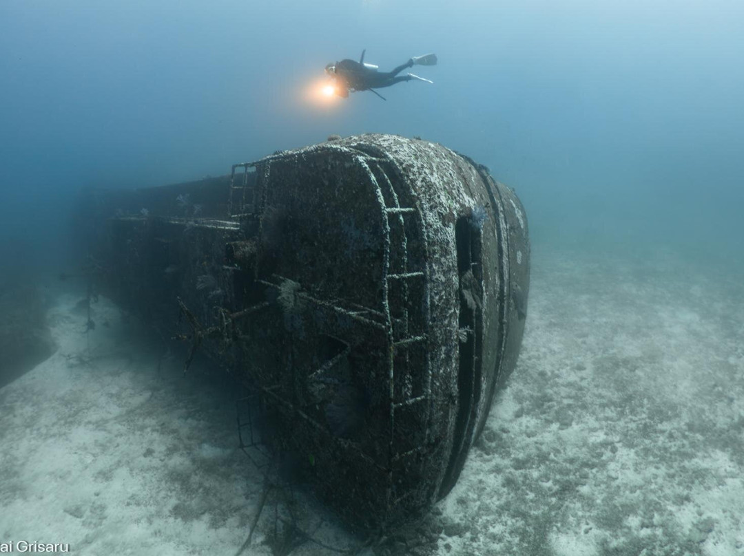 The Smiling Seahorse-拉廊必去景点