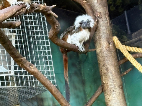 Folly Farm-Begelly必去景点