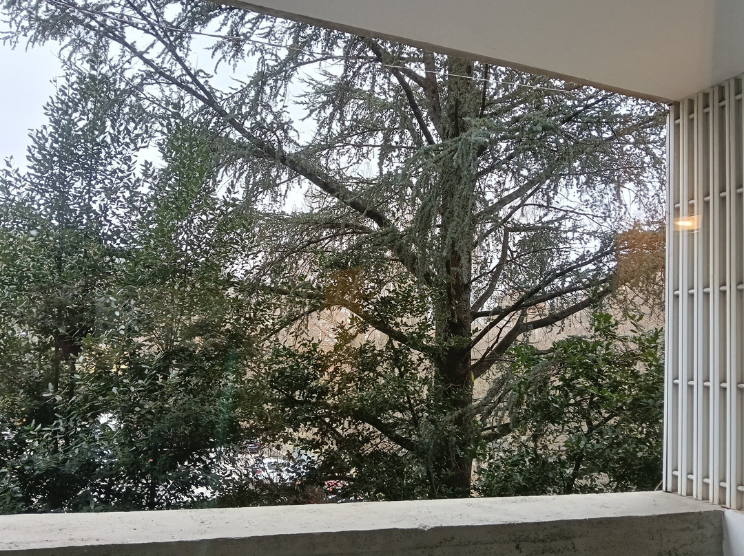 桑多利酒店主图