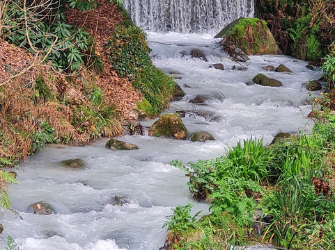 Menacuddle Well & Gardens-圣奥斯特尔必去景点