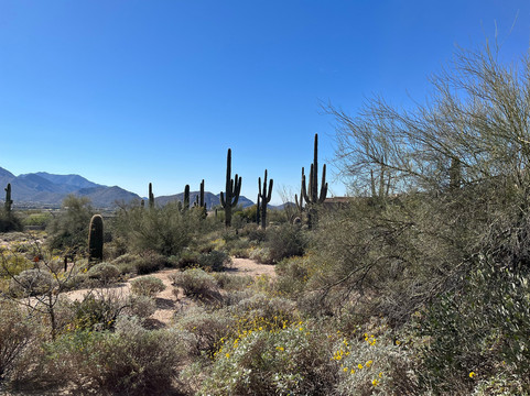 Pinnacle Peak Park-斯科茨代尔必去景点