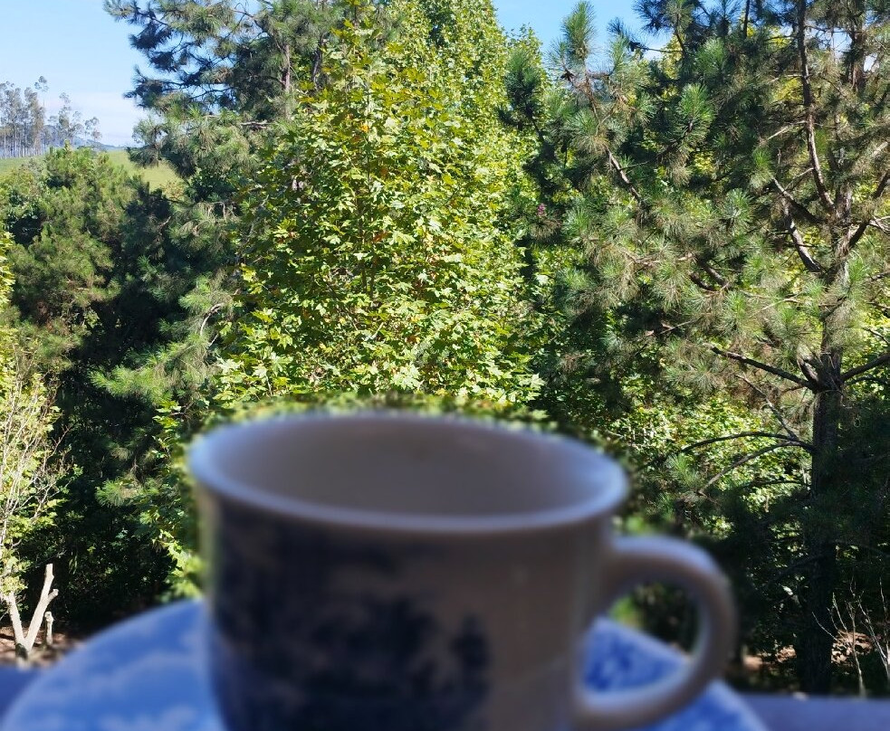 Pousada Cabanas No Mundo主图