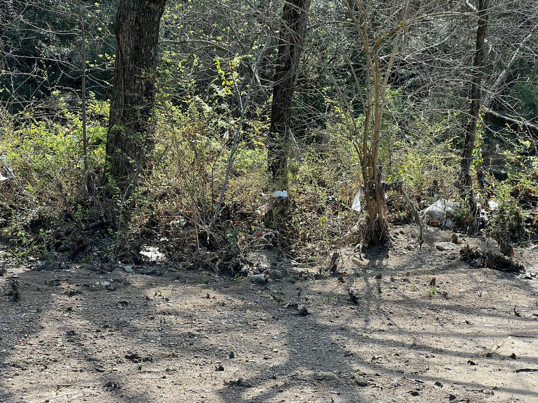 Airfield Falls Trailhead & Conservation Park-沃思堡必去景点