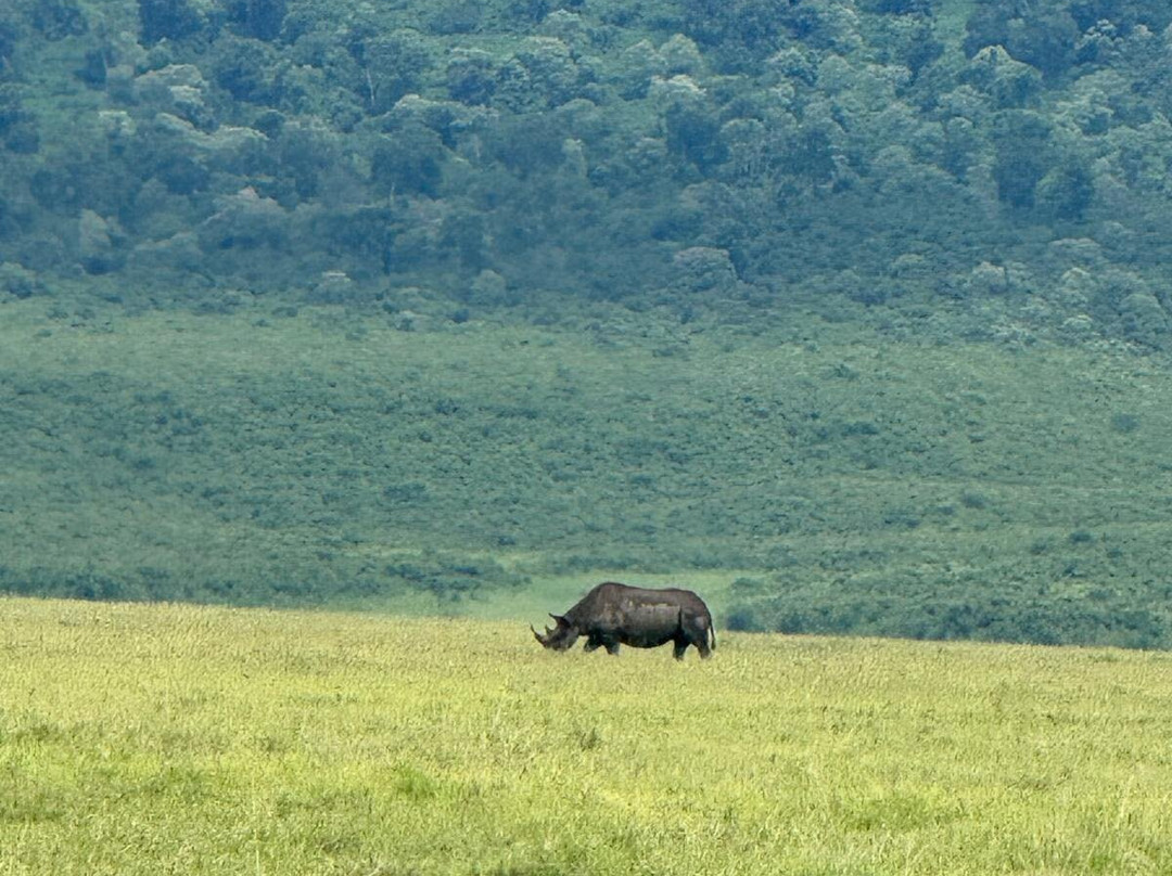 Time For African Adventures-阿鲁沙必去景点