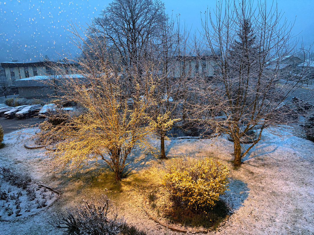 码头餐厅酒店主图