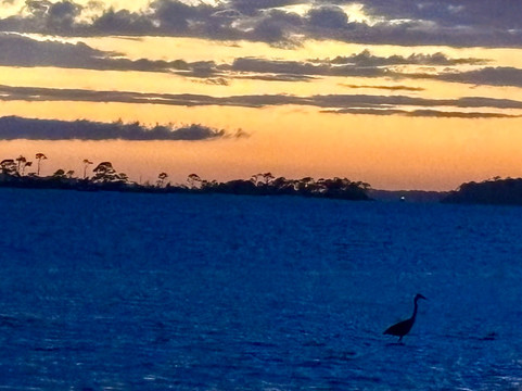 Liza Jackson Park-华尔顿堡滩必去景点