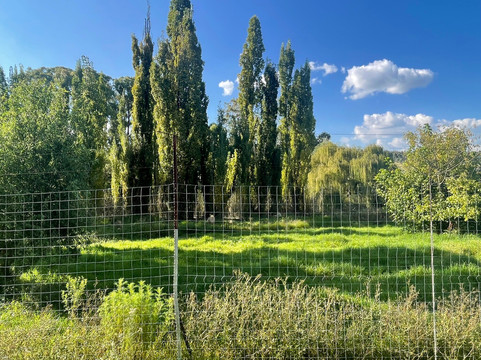 Glen Garriff Lion Conservation Npc-哈利史密斯必去景点