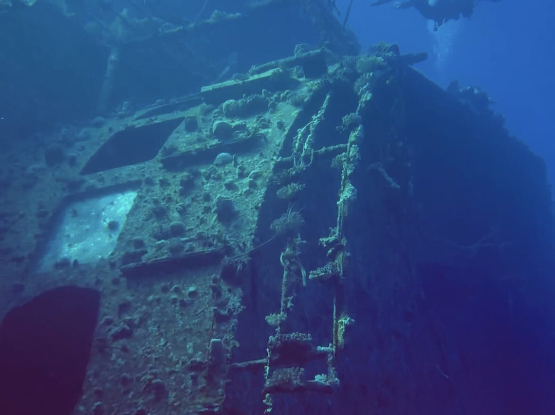 Volkert Dive Center-Safaga必去景点