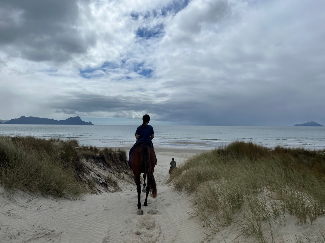 Waipu Horse Adventures-璜加雷必去景点