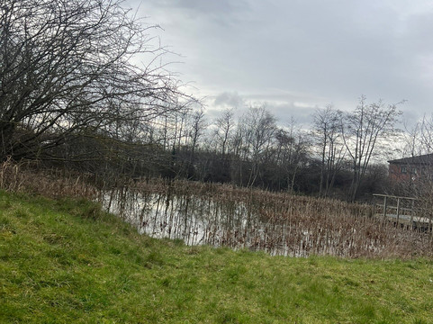 Dunston (Ace) Acer Pond-盖茨黑德必去景点