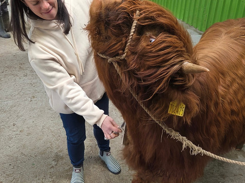 Dumble Farm-比弗利必去景点