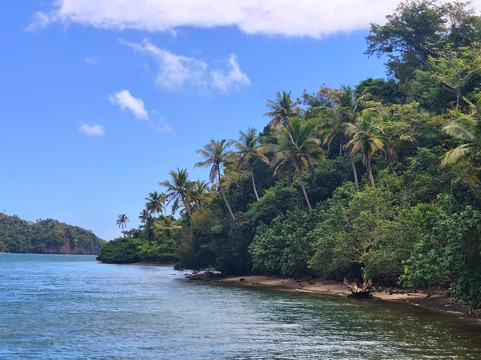 Gregory Tours Samana-Santa Barbara de Samana必去景点