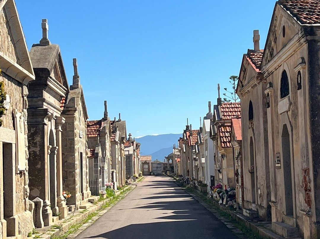 Cimetiere des Sanguinaires-阿雅克肖必去景点