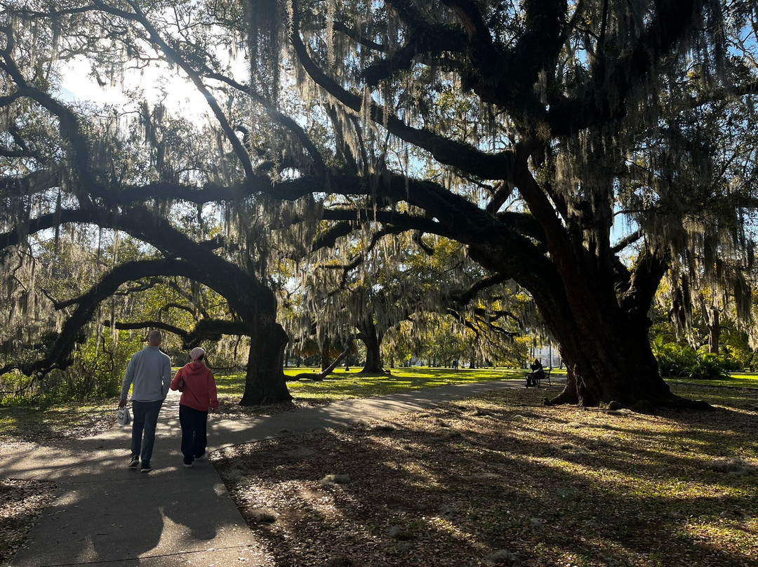 City Park