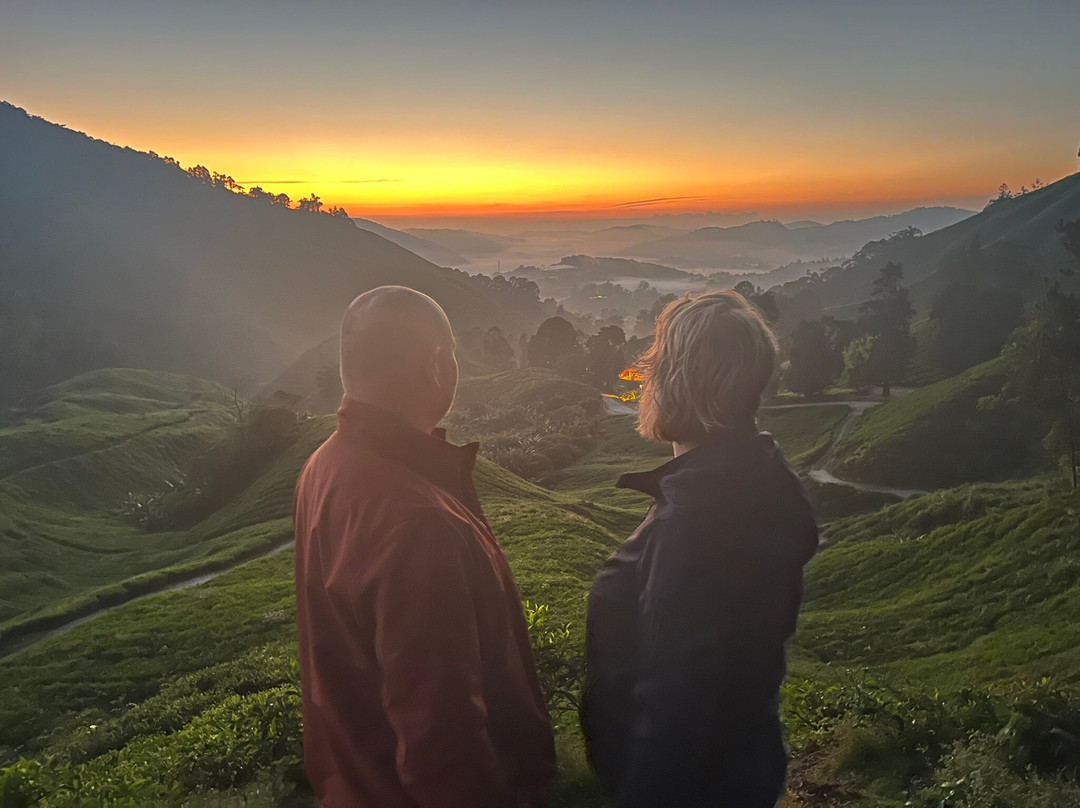 Discover Camerons-丹那拉塔必去景点