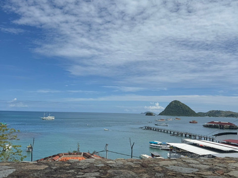 蓝鹦鹉酒店主图