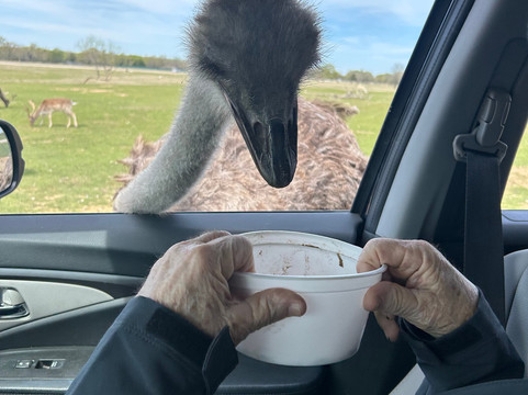 Texas Zoofari Park-Kaufman必去景点