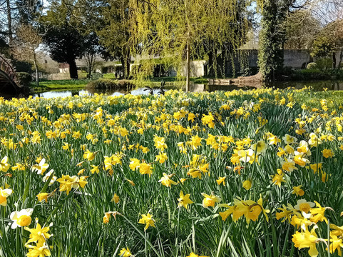 Chippenham Park-Chippenham必去景点