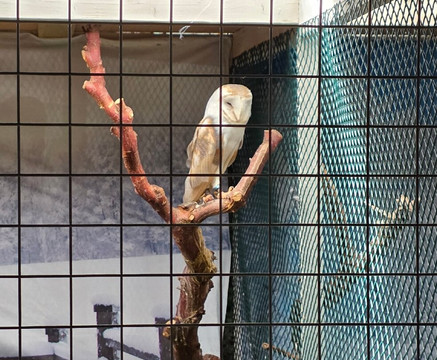 Hall Place & Gardens-Bexley必去景点