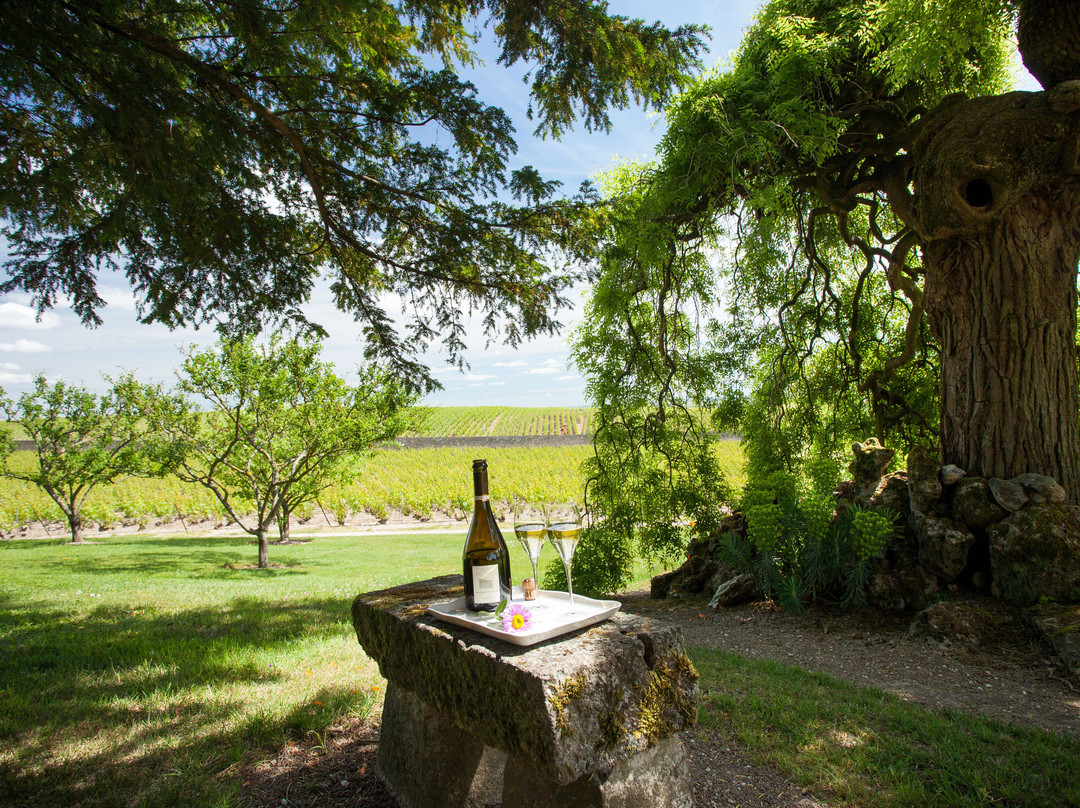 Champagne Claude Cazals-Le Mesnil-sur-Oger必去景点