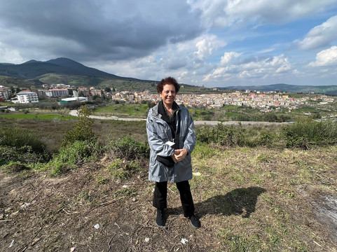 Di Sarno Car Service - Tours & Excursions-那不勒斯必去景点