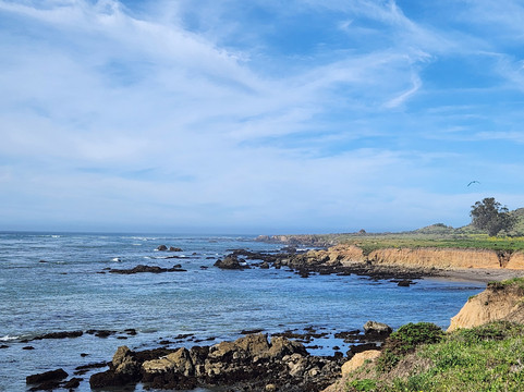 Estero Bluffs State Park-卡尤科斯必去景点