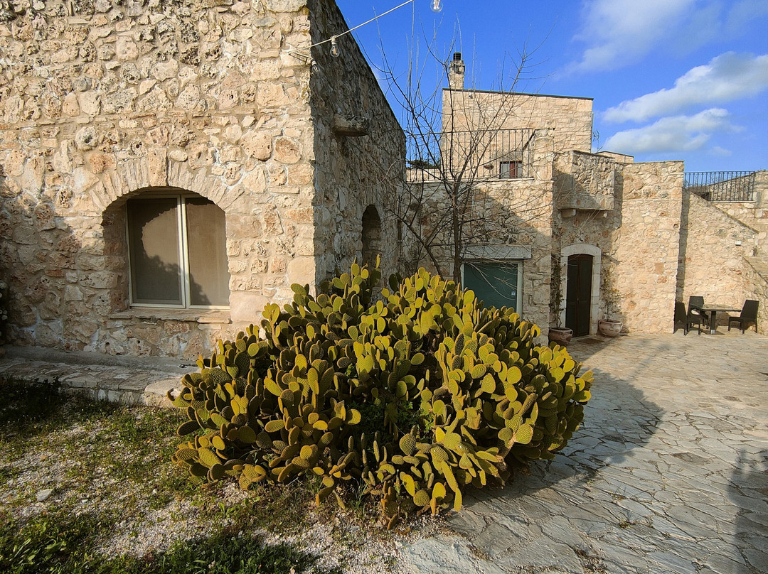 Masseria Storica Pilapalucci Contrada Pilapalucci-Toritto必去景点