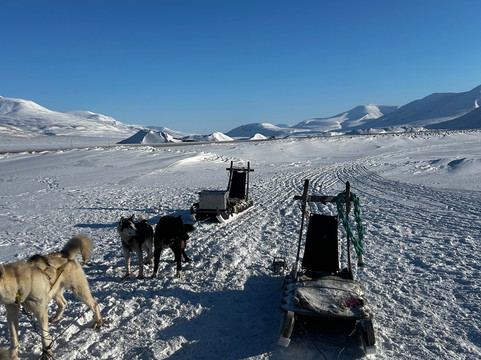 Green Dog Svalbard-朗伊尔城必去景点