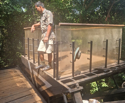 Funicular (wildernest)-Chorla必去景点