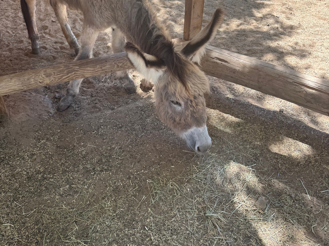 Viveiro, Botanical Garden & Zoo di Terra-圣塔玛丽亚必去景点