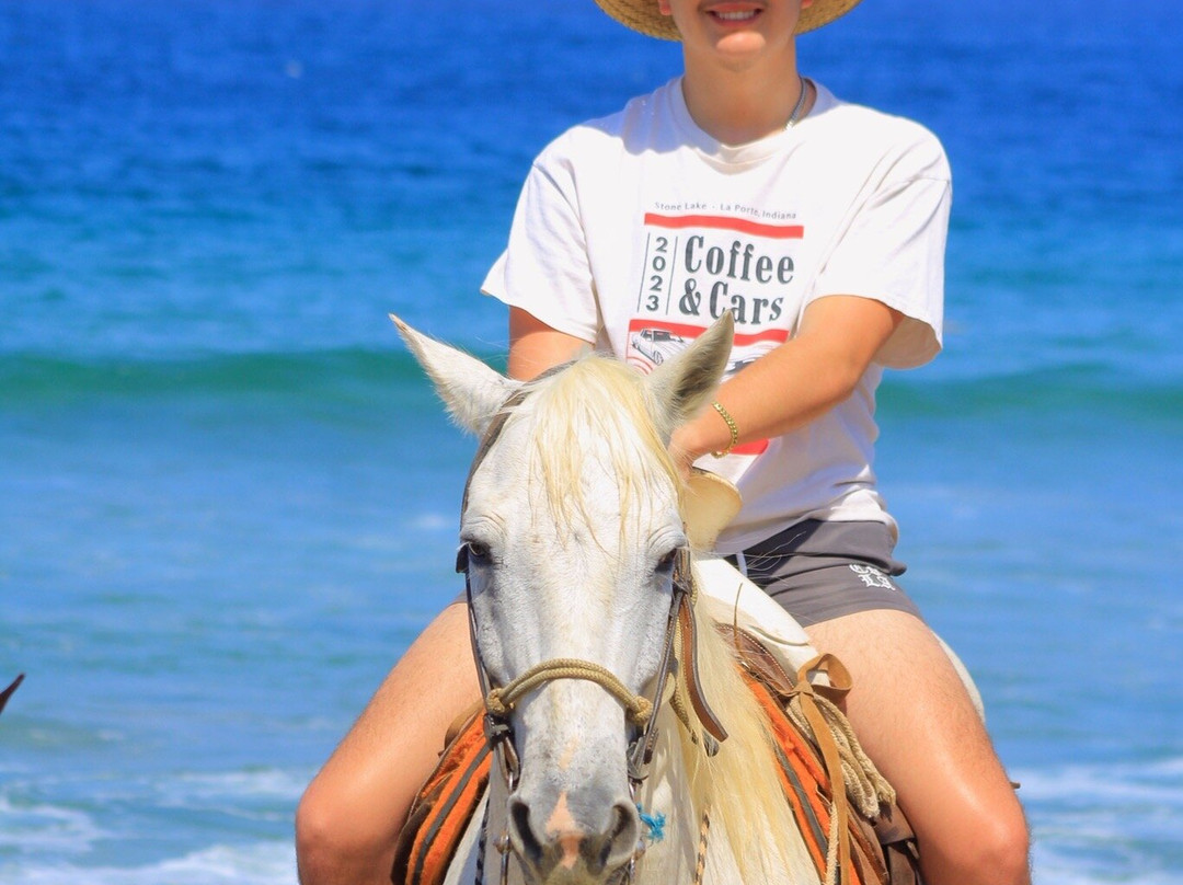 Vista Paraiso - Day Tours and Activities-Higuera Blanca必去景点