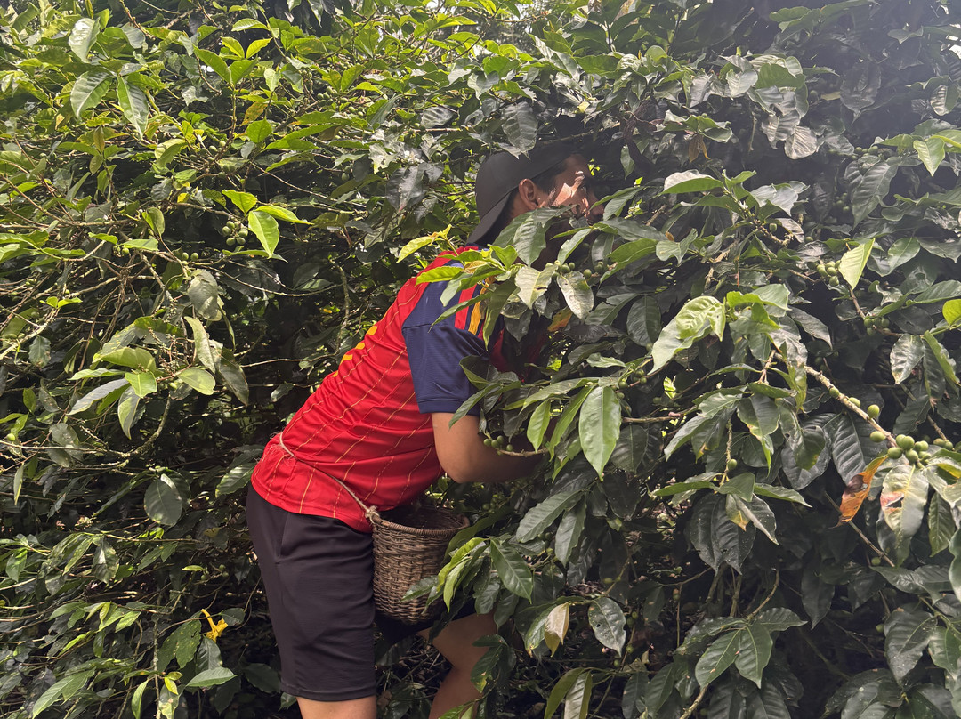 Rutas Cafeteras Tours-Circasia必去景点