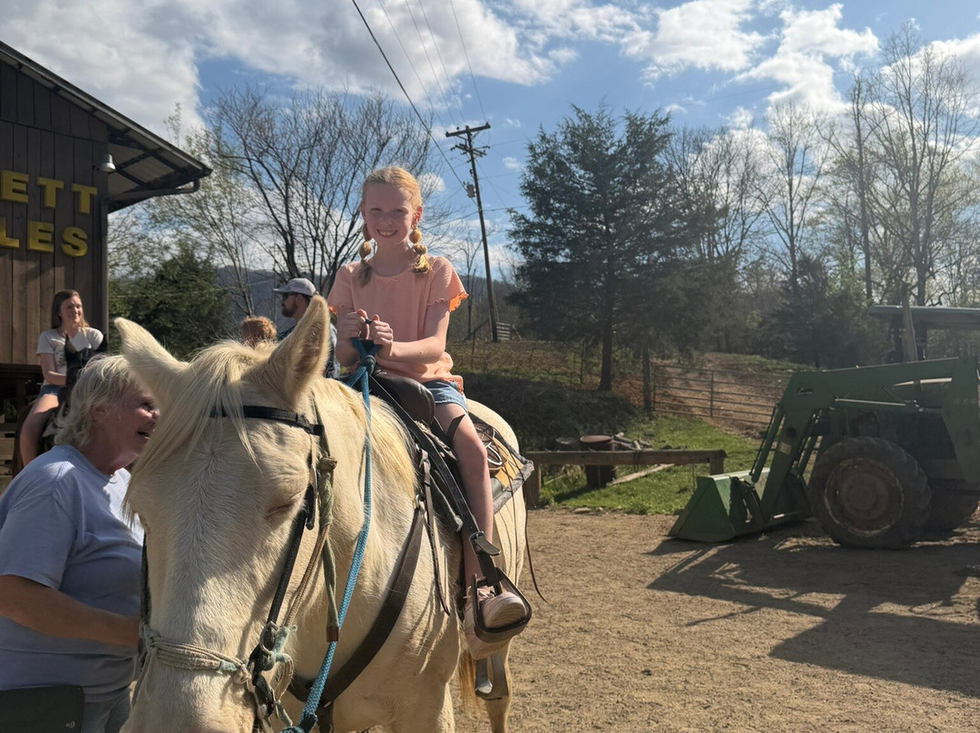 Davy Crockett Riding Stables-汤森必去景点
