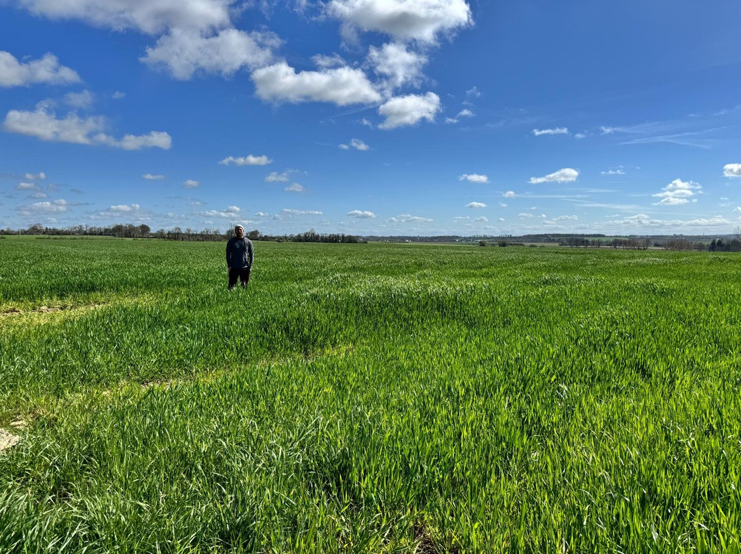 D Day Landing Tours-巴约必去景点