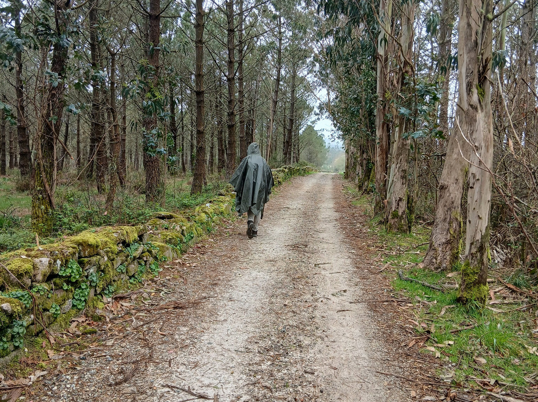 Santiago Ways-桑坦德必去景点
