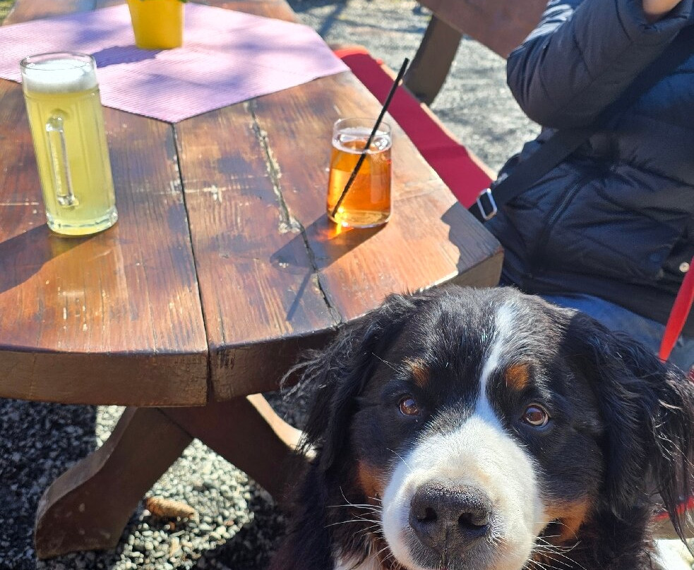 Bergbaude Veilchenbrunnen