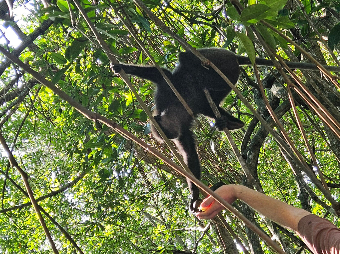 Lucky Boat Safari-班托塔必去景点