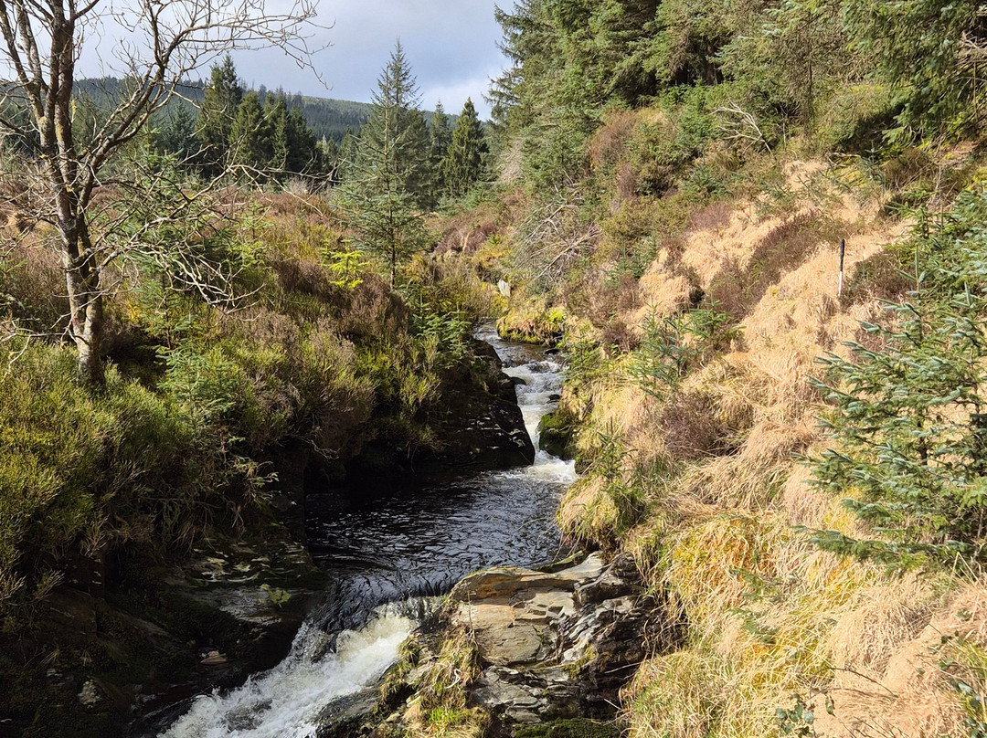 Hafren Forest-Llanidloes必去景点