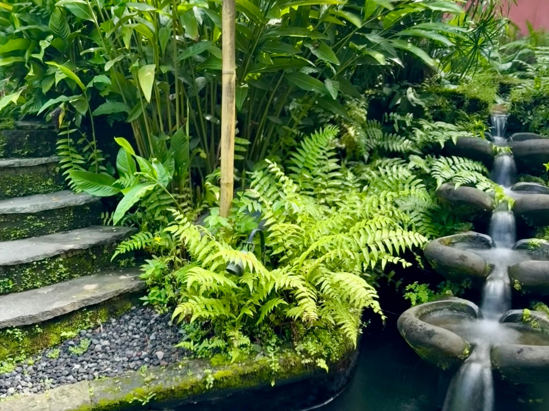 Alchemy Yoga & Meditation Center-Sayan必去景点