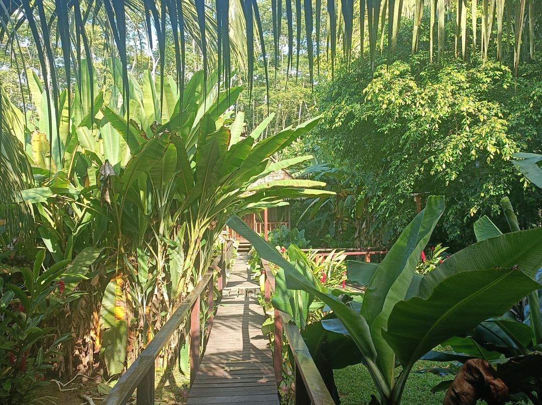 Finca Sachavacayoc lodge主图