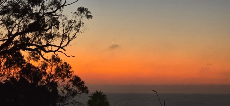 哥斯达科隆尼亚河畔精品酒店-官方