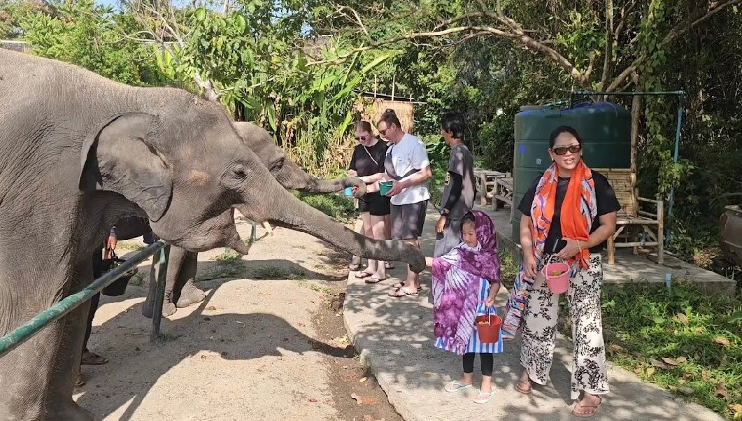 I Love Elephant Samui-Na Mueang必去景点