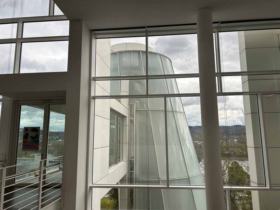 Arp Museum-雷马根必去景点