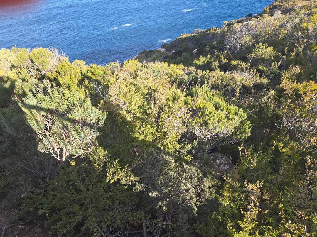 Cape Tourville Lighthouse-菲欣纳国家公园必去景点